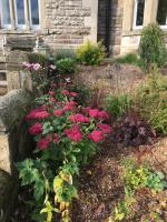 Creity Hall Guest House - B&B