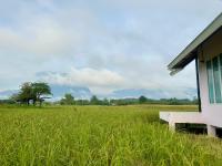 บ้านผ่อดอยกอยดาวพรีเมี่ยม - B&B Ban Sop Nong