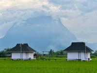 บ้านผ่อดอยกอยดาวพรีเมี่ยม - B&B Ban Sop Nong