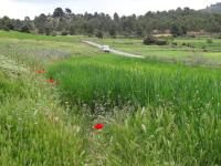 casa rural El pocico - Ferienwohnung Letur