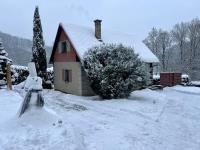 Chata v Bučinách - Bed and Breakfast Turnov