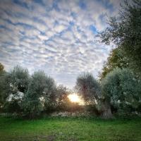 Le Grotte di Sileno - B&B Castellaneta