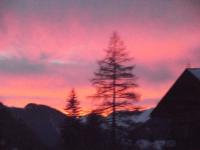 Habitación Doble - 2 camas