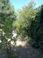 Espacio de relax - B&B El Trapiche