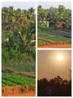 Ocean pearl Homestay Kasarkod Honnavara - B&B Kāsarkod