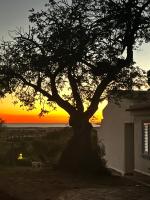Casa Estrelita, Quinta da Felicidade, Praia dos Salgados - B&B Pêra
