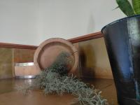 Chambre Familiale Deluxe