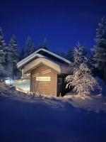 Unelmasäleikkö 2, Cozy Finnish Lapland Villa near Levi with Private Sauna & Fireplace - Bed and Breakfast Kittilä