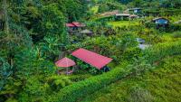 Cabañas Caeli, El Toucan, Peaceful Rainforest Retreat with Stunning Views - B&B La Fortuna