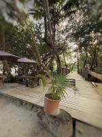 Escale des Galbas, Maison des Palmes - B&B Sainte-Anne