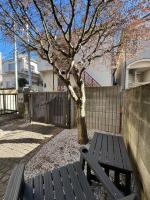 Koenji Designer house 50m2, 5min to Shinjuku - B&B Tokyo