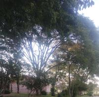 Casa de Alquiler Aline - Bed and Breakfast Pantano Grande