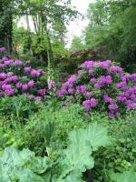 Les Sittelles de Bamboche - B&B