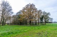 Grande longère rénovée, 25 minutes du Zoo de Beauval et Chambord, 12 pers, jardin, terrain de pétanque et table ping pong - B&B Chémery