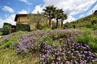 Giucalem La Casa Negli Orti - Ferienwohnung
