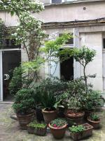 Light filled architects nest between rooftops - B&B Paris