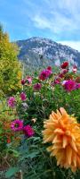 Ferienwohnung Diechtler inkl. Chiemgaukarte - B&B Ruhpolding
