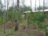 Eco-Cabañas Quetroleufu - B&B Pucón