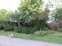 Ferme rénovée 13 couchages - B&B Archignat