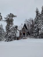 Vila Jovanovic - Ferienwohnung Zlatibor