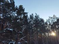 Ruheoase Waldblick - B&B Baruth