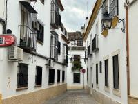 Apartamento El Alma de Santa Marina - Chambres d'hôtes Cordoue