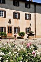 Alba - Villa Cenami - big POOL with view - B&B Massarosa