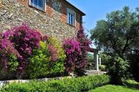 Nuvola - Villa Cenami - big POOL with view - Chambres d’hôtes Massarosa