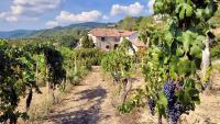 Appartamento Moscato in Cascina Marenco Langhe Country House - Ferienwohnung Cessole