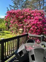 The Chalets - B&B Eskdale