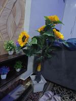 Aawas studio - Chambres d’hôtes Noida