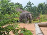 Lazy mango homestay - Bed and Breakfast Ban Mae Sapok Nuea