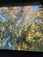 La vuelta y el vaso - B&B Playa Verde