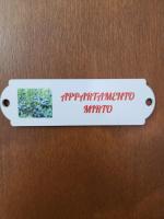 Casa Wanda IL MIRTO - B&B Oristano