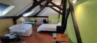 Grand Studio Climatisé en combles à 2 pas de la gare de NANCY - B&B Nancy