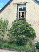 Charmante maison en pleine nature à Saint Georges sur Loire - B&B Saint-Georges-sur-Loire