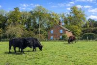 Chalk Pit Cottage - B&B Littlebourne