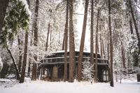 Wildland Aerie at Treehaus with Creekside Hot Tub Pets OK - Chambres d'hôtes Idyllwild