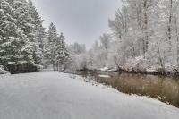 Yakima Riverfront Retreat! Cozy Cascades Cabin - B&B Pine Glen