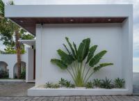 Monstera Uluwatu - B&B Uluwatu