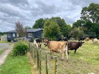 Peaceful Country Escape in Gordonton - Green Meadows Cottage - Chambres d'hôtes Taupiri