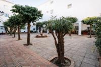 Apartamento CONDE DE PRIEGO - B&B Cordova