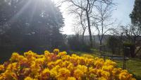 Agriristoro Podere S. Andrea - B&B