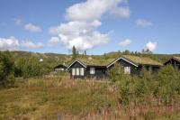 Family-Friendly Cabin With Stunning Outdoor Access - B&B Beitostølen