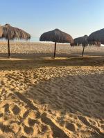 Laila Palm beach chalet - B&B Al ‘Ayn as Sukhnah