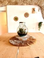 Cueva Thalia - luxury cave with heated indoor pool and garden - B&B San Miguel De Abona