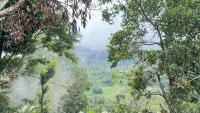 Bluebell Cottage - Ferienwohnung Ella Town