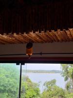 Vila da Mata - B&B Alter do Chão