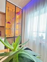 Jora prabangūs su terasa apartamentai - Ferienwohnung Stančiai