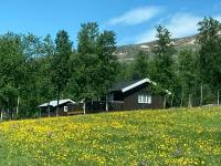 Simple Mountain Cabin Near Vinstra - Ferienwohnung Vinstra